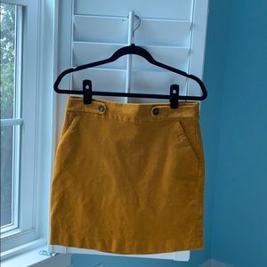 Ladies Fall Skirt